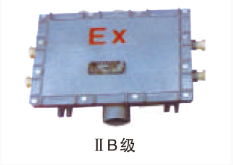 BXJ系列防爆接线箱